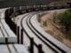 VLI firma acordo com LD para transporte ferroviário de 500 mil t de celulose/ano