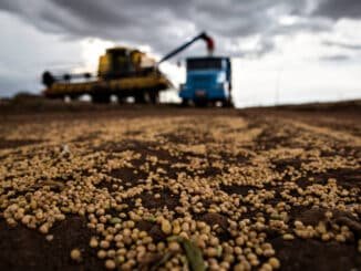 Grãos de soja em estrada rural durante colheita, nas proximidades de Londrina, no Paraná - Sergio Ranalli - 4.mar.2021/Folhapress