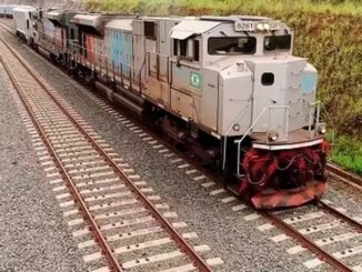 Especialista considera que é viável estabelecer um novo marco legal para as ferrovias Foto: Divulgação/PPI.Gov.Br - 31.jul.2019