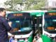 Novos ônibus começam a circular nesta quarta-feira