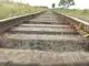 O projeto da nova Ferroeste prevê a privatização e construção de 1.285 quilômetros de trilhos entre MS e PR — Foto: Reprodução/TV Morena