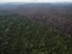 Área de floresta derrubada em Itaituba (PA) (Foto: Folhapress)