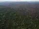 Área de floresta derrubada em Itaituba (PA) (Foto: Folhapress)