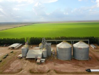 Fazenda da BrasilAgro com silos fornecidos pela Kepler Weber em Correntina (BA): investimentos estão em alta na região — Foto: Divulgação