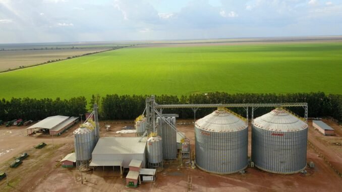 foto03agr-102-matopiba-b8 Fazenda da BrasilAgro com silos fornecidos pela Kepler Weber em Correntina (BA): investimentos estão em alta na região — Foto: Divulgação