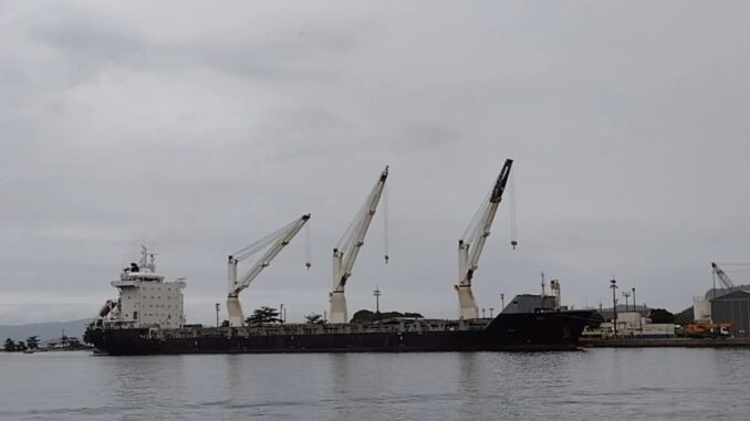 A exportação de café e insumos agrícolas pelo Porto de Angra vai gerar economia para o Porto Sul de Minas Foto: Divulgação