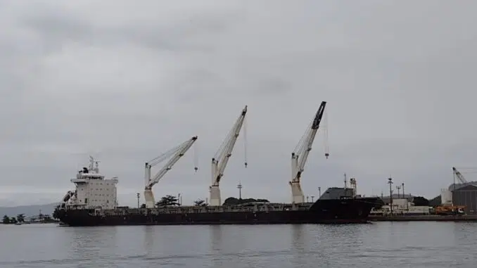A exportação de café e insumos agrícolas pelo Porto de Angra vai gerar economia para o Porto Sul de Minas Foto: Divulgação