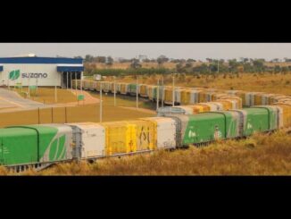 Suzano já opera um terminal ferroviário no Estado, na Malha Norte, em Aparecida do Taboado - Arquivo