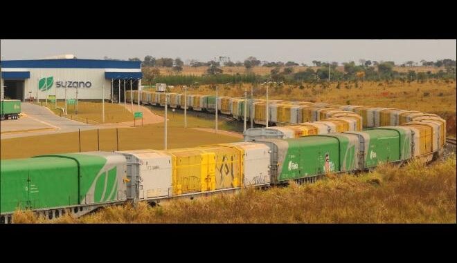 Suzano já opera um terminal ferroviário no Estado, na Malha Norte, em Aparecida do Taboado - Arquivo
