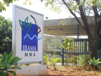 Governo acredita que mudança deixaria o Ibama livre para se dedicar a empreendimentos de maior complexidade ambiental. Foto: Sérgio Moraes/Ascom/AGU