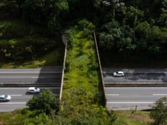 Vista aérea do viaduto vegetado da Rodovia dos Tamoios (SP-99), na altura do km 28; pontes verdes avançam no País e acendem alerta sobre efeitos das rodovias e ferrovias na vida da fauna. Foto: LEANDRO MARTINS/ESTADÃO - 03/02/2022