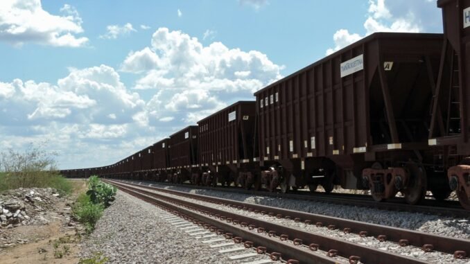 Participação de ferrovias no transporte agrícola para a exportação brasileira cresceu mais de 20% — Foto: Katherine Coutinho/G1