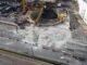 Cratera que se abriu nas obras na Linha 6-Laranja do Metrô na Marginal Tietê é completamente fechada com concreto — Foto: Ronaldo Silva/Futura Press/Estadão Conteúdo