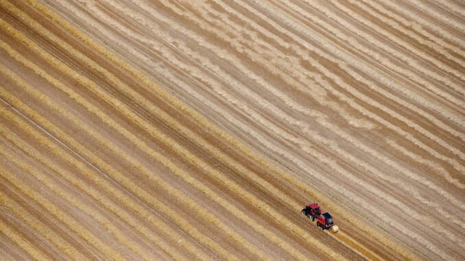 Vista aérea de fazenda de trigo na França - Pascal Rossignol/Reuters