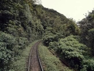 Estudos sobre Nova Ferroeste preveem até R$ 143 milhões em compensações ambientais — Foto: Arquivo/RPC