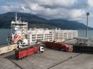 Caminhões com gado chegam ao navio libanês Queensland no porto de São Sebastião, litoral de São Paulo - Diego Padgurschi/ Folhapress