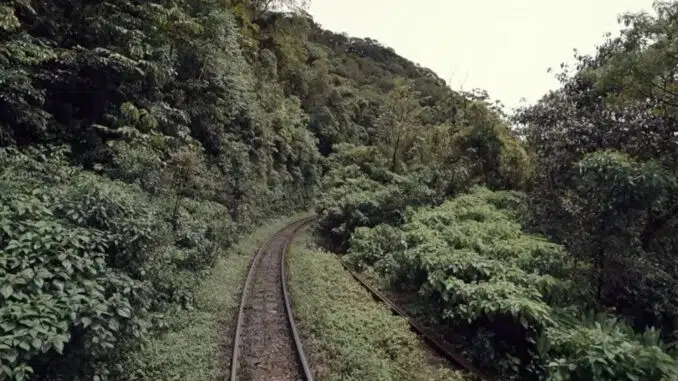 Estudos sobre Nova Ferroeste preveem até R$ 143 milhões em compensações ambientais — Foto: Arquivo/RPC