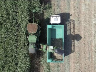 A companhia mapeou oportunidades de redução de custos de R$ 1 bilhão nas operações agrícolas — Foto: Marcio Raminelli/Divulgação