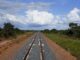 "Ferrogrão": Ferrovia com quase 1.000 km de extensão vai facilitar o escoamento da safra de grãos do Centro-Oeste pelos portos da região Norte do país Divulgação
