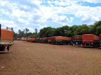 Filas de caminhões em rota do Arco Norte — Foto: Divulgação