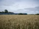 Trem na Alemanha: passe para estimular uso do transporte Foto - Lena Mucha/The New York Times