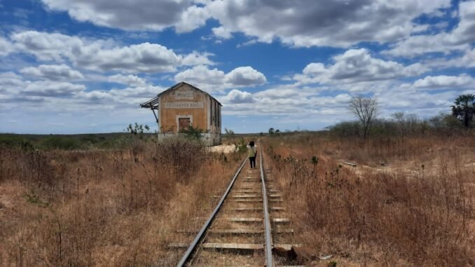 Legenda: A professora Ângela Falcão percorreu mais de 1.000 km visitando estações do Ceará Foto: Divulgação