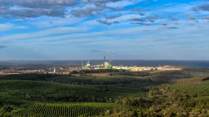 Em relação ao Projeto Puma II, a construção da segunda máquina, MP 28, segue dentro do cronograma, com 65% de avanço físico em meados deste mês — Foto: Divulgação/Klabin