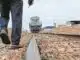 Legenda: Transnordestina deverá iniciar operações até 2027 Foto: Natinho Rodrigues