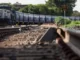 Projeto de R$ 1,5 bi vai levar 5G pela linha do trem — Foto: Divulgação