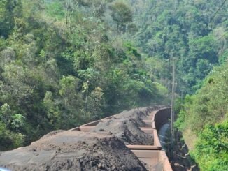 Para especialistas, tragédias e vida útil das minas provocaram redução da produção da Vale em Minas — Foto: Claudia Brasil/Câmara dos Deputados