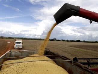 Máquina agrícola deposita grãos de soja em caminhão em granja em Brasília - Lucio tavora - 18.fev.2022/Xinhua