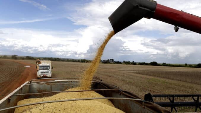 Máquina agrícola deposita grãos de soja em caminhão em granja em Brasília - Lucio tavora - 18.fev.2022/Xinhua