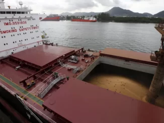 Navio carregado com soja no porto de Santos (SP). Grão foi um dos destaques no ano passado na movimentação de cargas no terminal - Foto: REUTERS/Paulo Whitaker