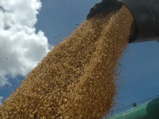 Plantil da soja terminou em dezembro de 2022 — Foto: Seagro/Governo do Tocantins