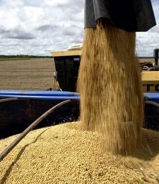 Escoamento de soja em Mato Grosso