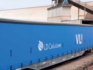 Vagões da VLI para uso no transporte de carga da LD Celulose